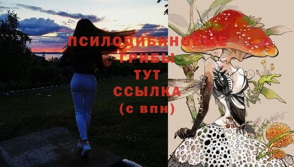 прущие крисы Краснослободск