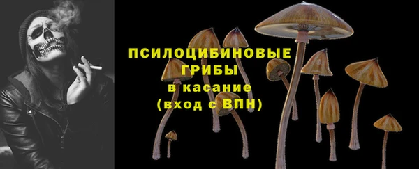 ГАЛЛЮЦИНОГЕННЫЕ ГРИБЫ Краснотурьинск