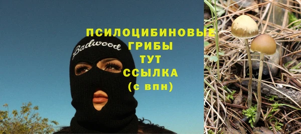прущие крисы Краснослободск