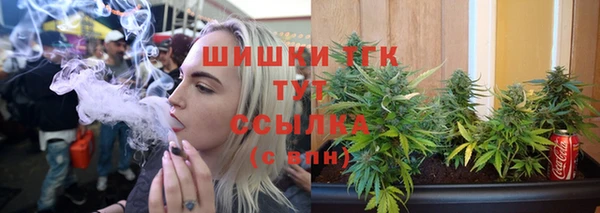 ГАЛЛЮЦИНОГЕННЫЕ ГРИБЫ Краснотурьинск
