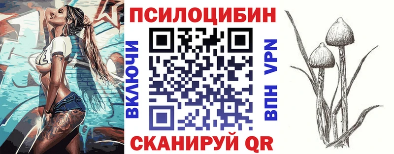 Купить закладки  Татарск  Псилоцибиновые грибы Cubensis 